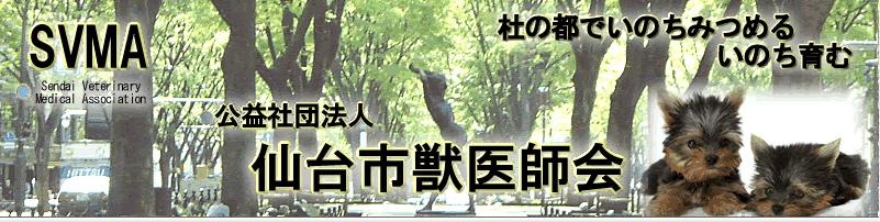 一人暮らし女子のおもてなしレシピ