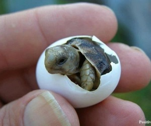 悩みを抱えた友人を励ましたい…ネガティブ思考を切り替える魔法の言葉（２）