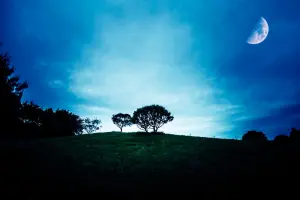 月の満ち欠けを意識した恋活…新月・満月は女性の恋を動かす！