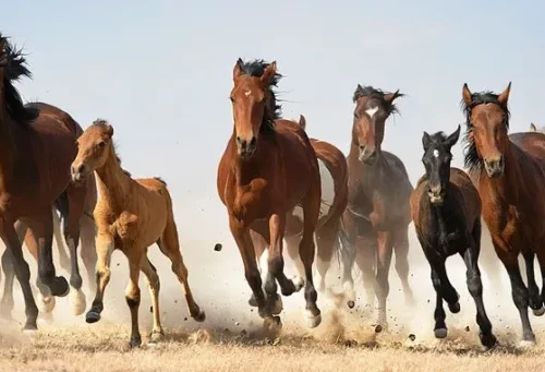 ダヴィンチ特別企画展 　★知れば知るほど面白い【美術史ミステリー】