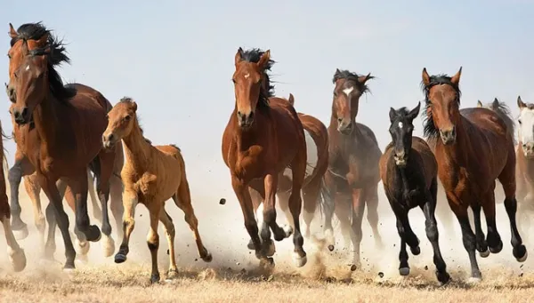 ダヴィンチ特別企画展 　★知れば知るほど面白い【美術史ミステリー】