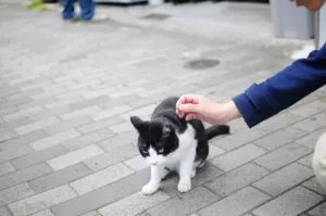 仙台駅東口は最高の散歩コース！ゆったりまったり散策しよう