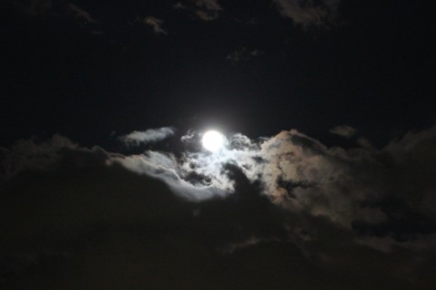 虐待から目を背けない…自分が加害者にならないために知っておくべきこと（７）最終回