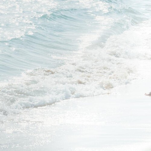 【終了】独自の世界観で人気急上昇中の空想委員会にMe独占インタビュー！【サイン色紙プレゼント】