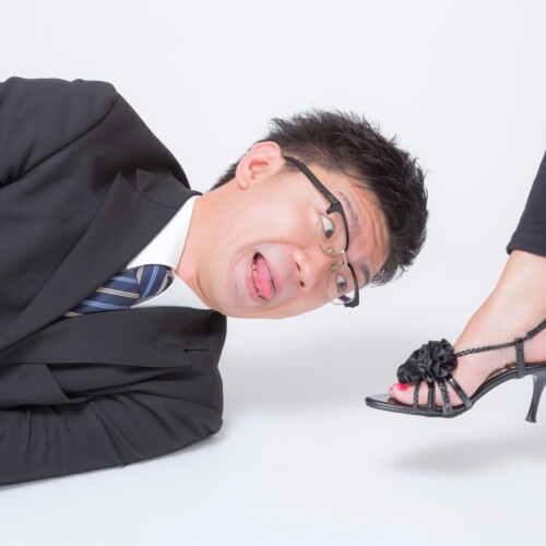 接客業・調理補助　カッチーヌ