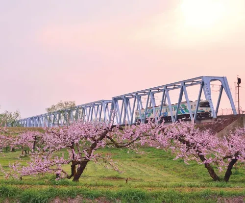 阿武隈急行　　槻木駅、東船岡駅