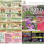 【イベント】コスモス＆コキアde COKOフェスタ2016