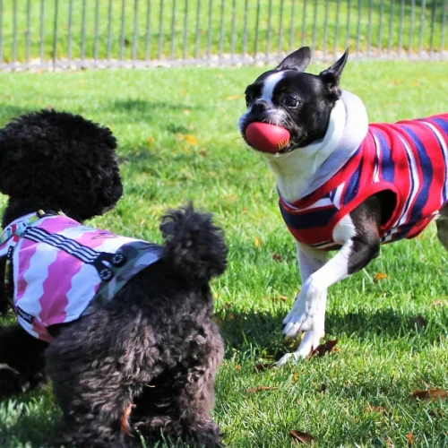 【Meスペシャルクーポン】湯の宿 アウザ猪苗代