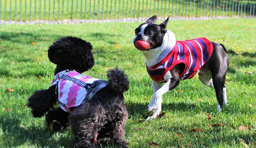 【Meスペシャルクーポン】湯の宿 アウザ猪苗代