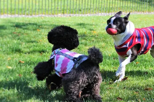 湯の宿 アウザ猪苗代