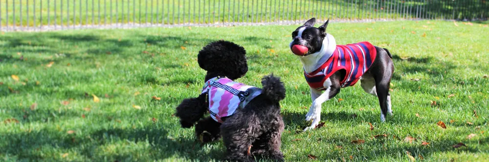 湯の宿 アウザ猪苗代
