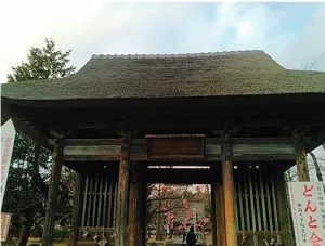 【女子旅】仙台・秋の神社仏閣巡り～ゆったり観光７選～（２）