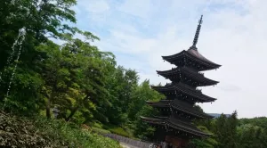 【女子旅】仙台・秋の神社仏閣巡り～ゆったり観光７選～（４）