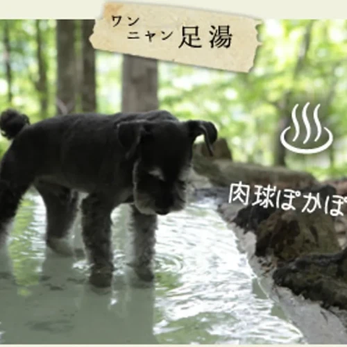 田沢プラトーホテル