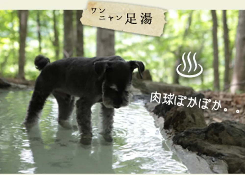 田沢プラトーホテル