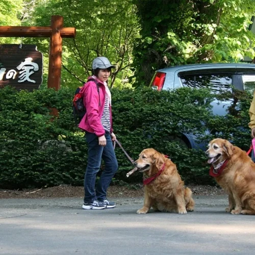 レークサイド　山の家