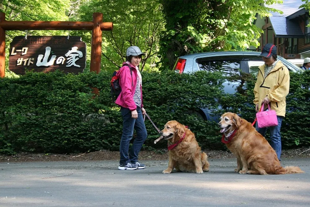 レークサイド　山の家