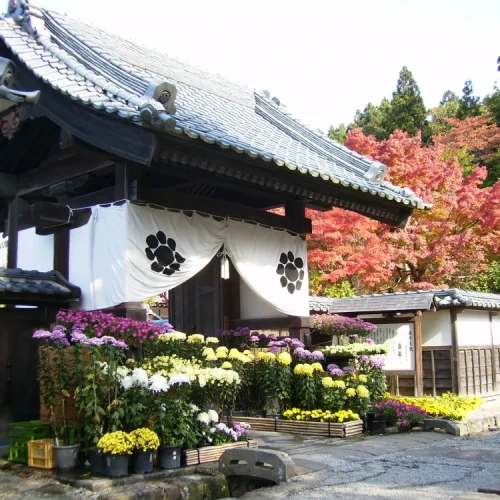 ＪＲバスで行く　日帰り紅葉巡り～福島～その①