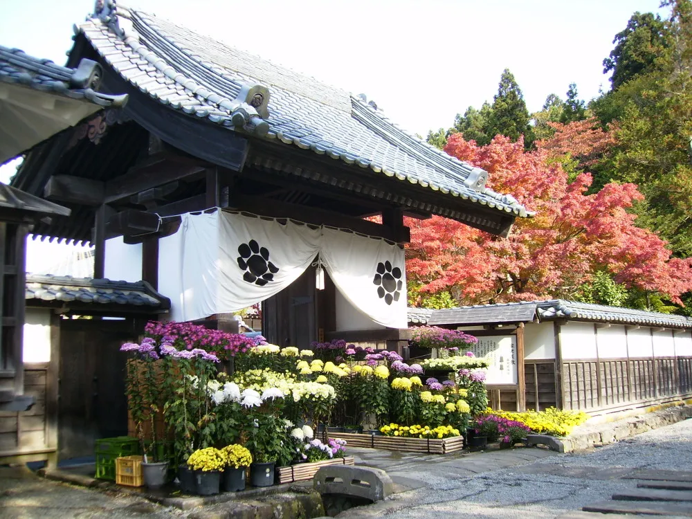 ＪＲバスで行く　日帰り紅葉巡り～福島～その①