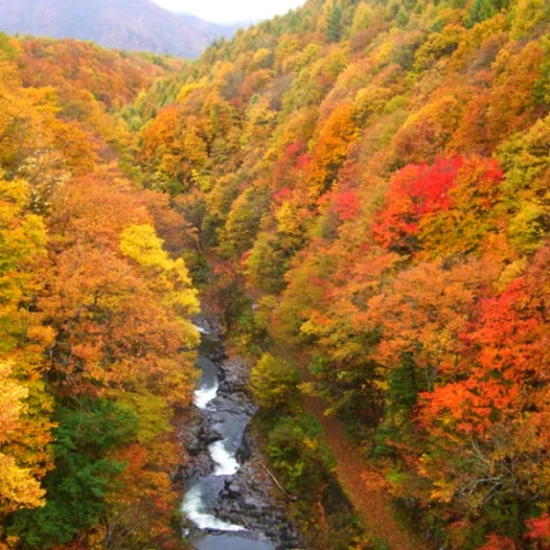 2016年仙台・宮城紅葉スポット一覧！