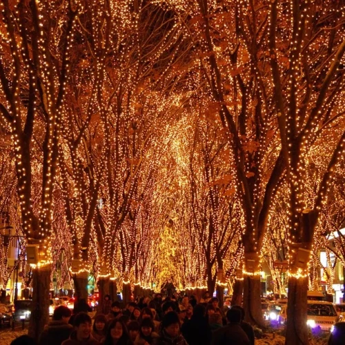 【12月9日点灯式】SENDAI光のページェント【12月31日まで】