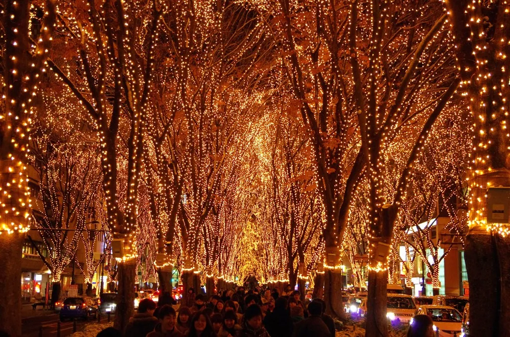 【12月9日点灯式】SENDAI光のページェント【12月31日まで】