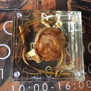 【12月17日レッスン】特許を取ったお花のジェルボックスレッスン