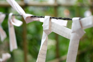 初詣する前に知っておきたい！神社で願いを叶える“お参りの作法”（１）
