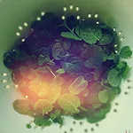 体の中から健康に！お悩み別おすすめハーブティーの効能（７）