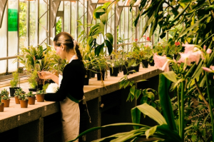 自分にぴったりのダイエット法！【星座別】おすすめダイエット（ダイエットのコツ編）