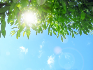 子どもとママの憩いの場・子育て支援センターへ、いざ！