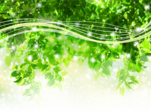 春に聴いてほしい…リラックスできる音楽CD【心を癒すBGM特集】