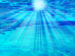 春に聴いてほしい…リラックスできる音楽CD【自然の中のBGM特集】