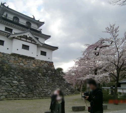 春だ！桜だ！お花見だ！宮城でお花見【益岡公園編】