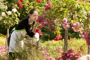 自分にぴったりのダイエット法！【星座別】おすすめダイエット（乙女座編）