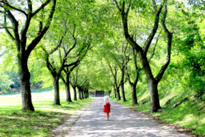 【仙台から行く道の駅】食べて！遊んで！七ヶ宿への女子旅行
