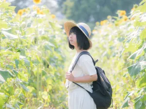 【仙台から行く道の駅】家族と行きたい！三本木で“ひまわり”を堪能