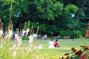 【仙台から行く道の駅】山形へ行くなら？あ・ら・伊達な道の駅を経由しよう