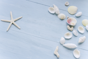 【夏に聴きたい！】青空に透明感！すっきり気分になれる曲特集