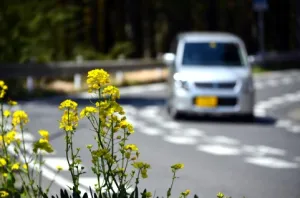 【仙台市の女性の困った！を解決】車を持ってない？でも大丈夫！