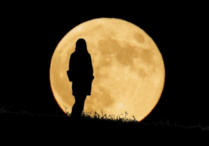 【秋のリラックスタイム雑貨】部屋のインテリアを秋冬仕様に…