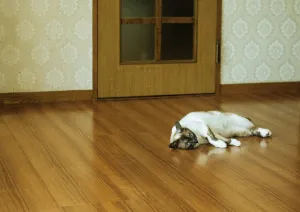 【夏の疲れをほぐす】疲れが悪化？秋の生活習慣３つのNG行動