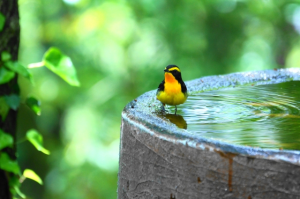 【仙台日帰り温泉】松島観光のついでに温泉に入ろう！