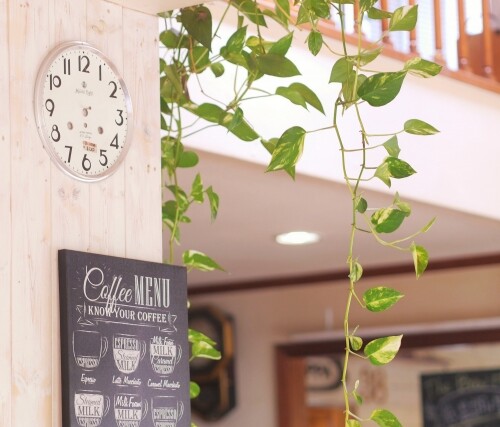 【仙台コスパ最強昼めし】500円以下！？ボリュームたっぷりの弁当