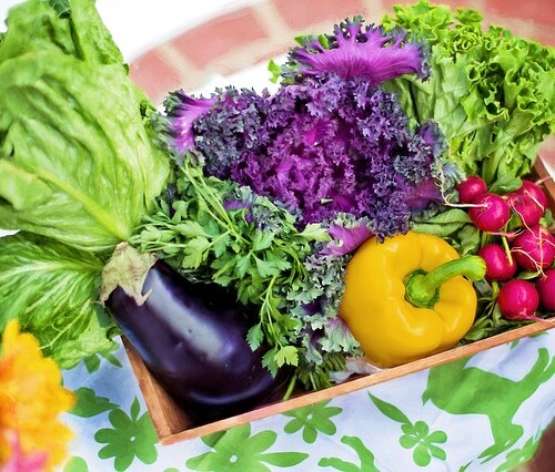 【自宅でコールドプレスジュース】搾りカスを無駄にしないレシピ３選