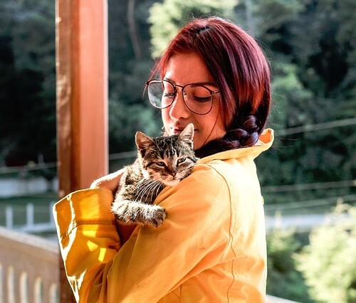 【仙台・ペットの里親になろう！】保護犬の里親になるには？