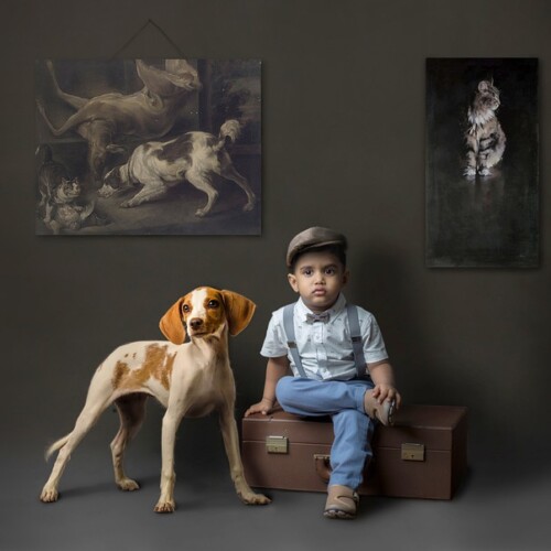 【仙台・ペットの里親になろう！】譲渡ペット…運命の出会いを実現するには？