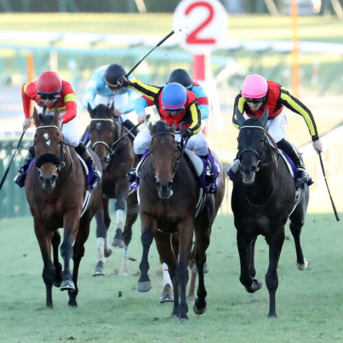 有馬記念2024！歴史的名勝負を振り返る✨