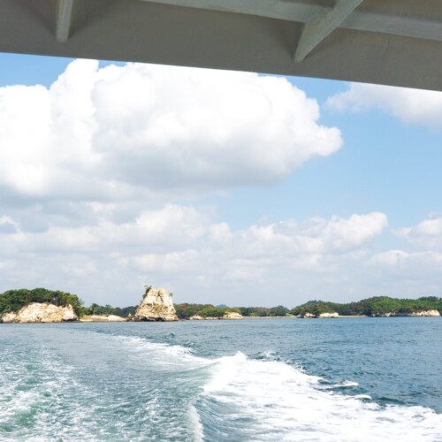 来年はいきたい！宮城県のクリスマスおすすめスポット🎄✨