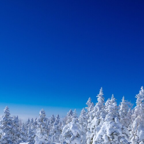 冬だからこそ訪れたい！宮城の名所おすすめスポット❄️
